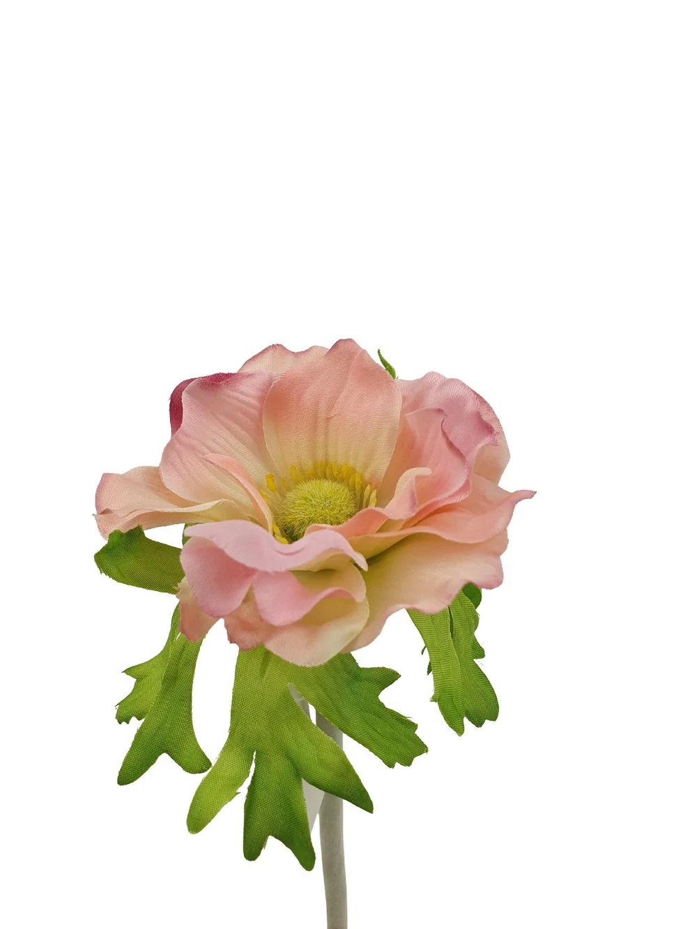 Kép 2/3 - Szálas anemone 30 cm - Cirmos