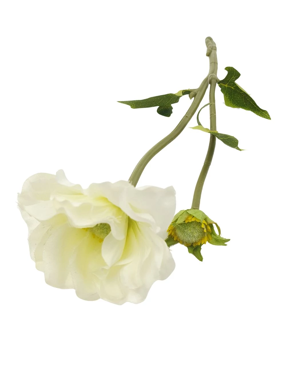 Kép 2/3 - Szálas anemone 2 ágas  - Fehér