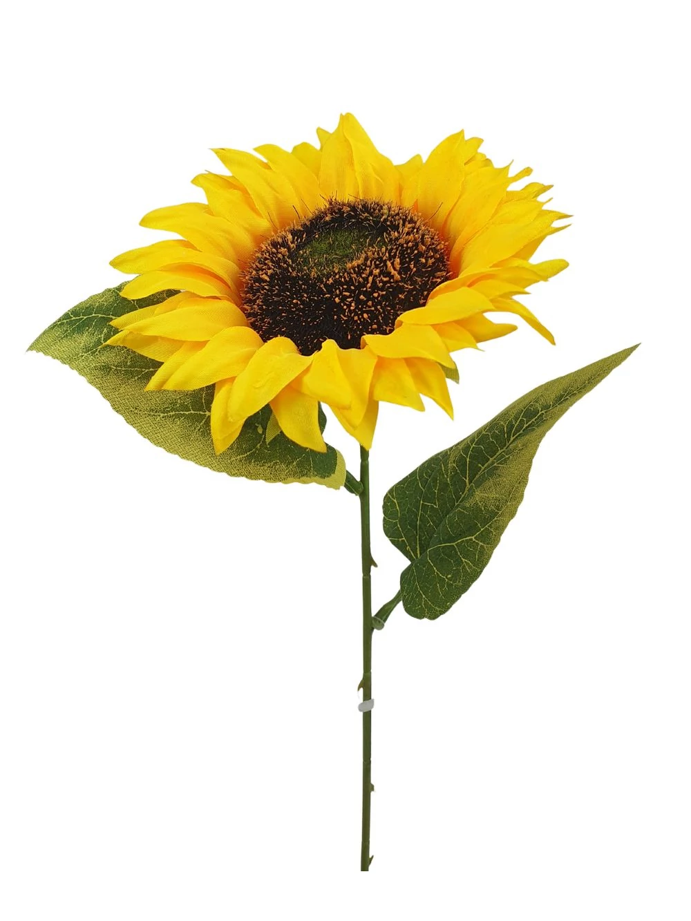 Kép 2/2 - Szálas napraforgó - Sárga