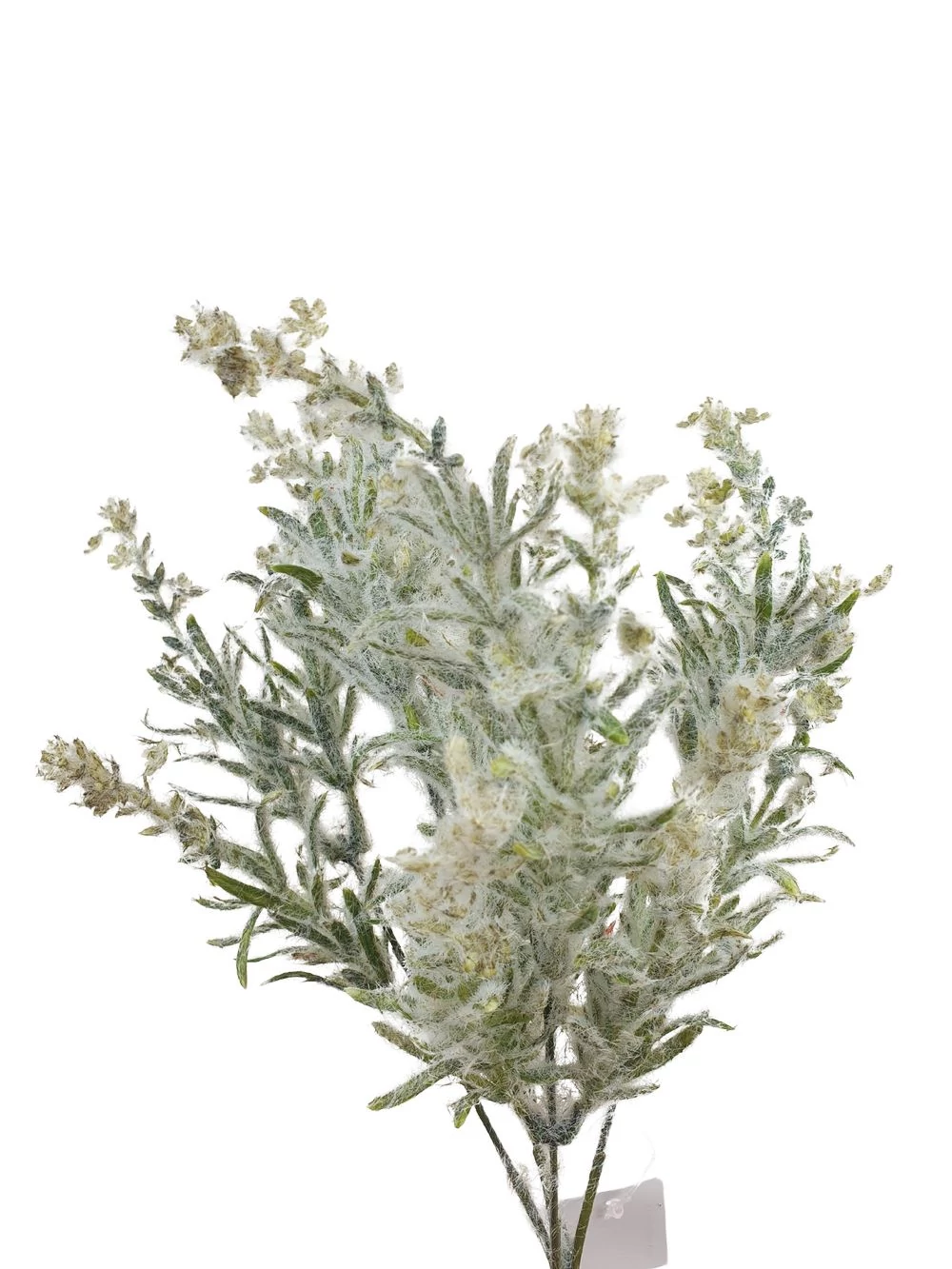 Kép 2/2 - Bolyhos műzöld csokor 2 - Zöld