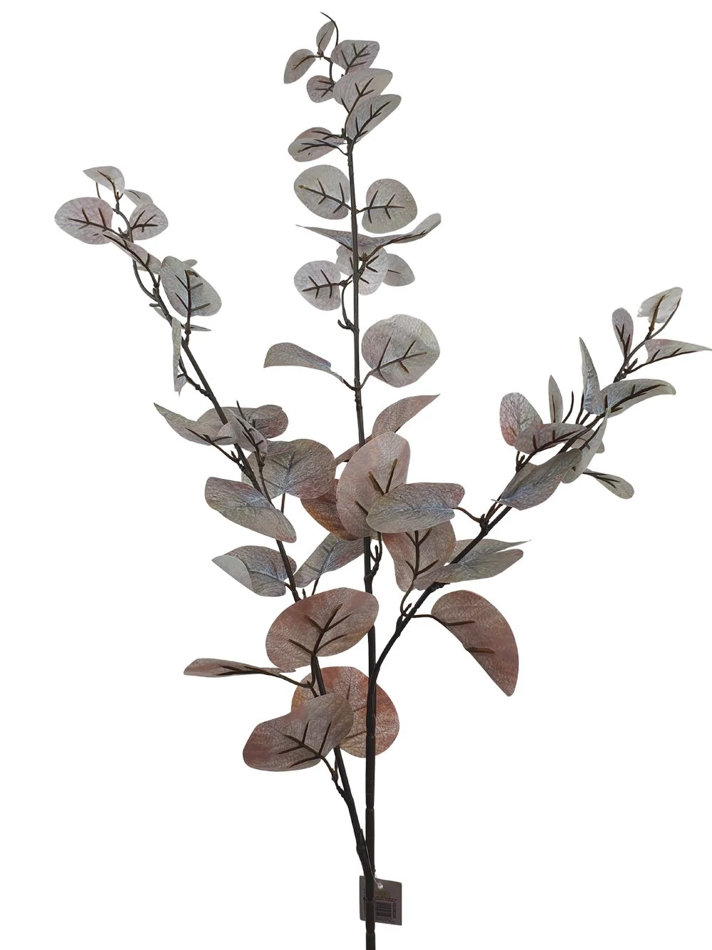 Kép 2/2 - Tarka levelű levél ág - Szürke