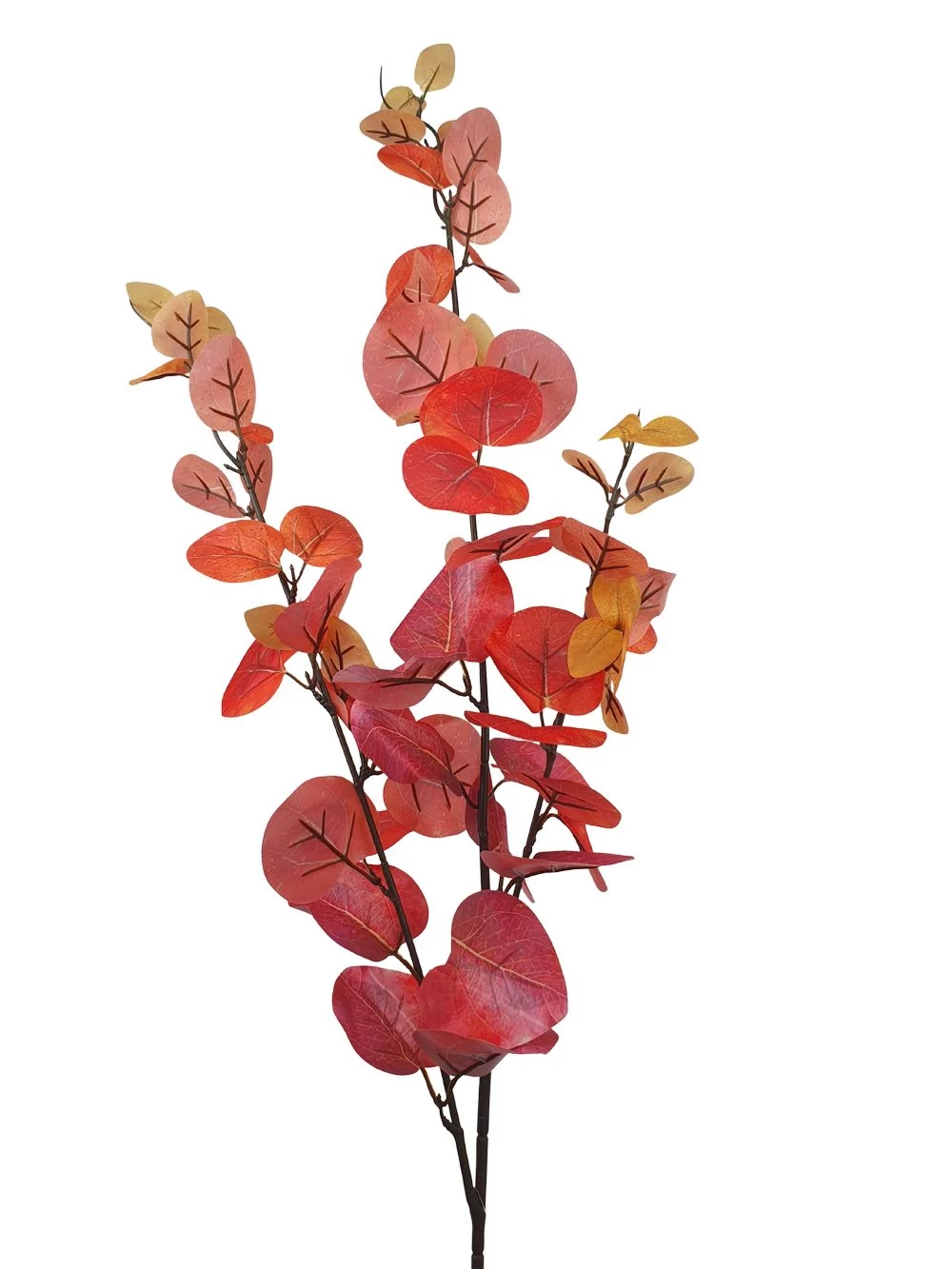 Kép 2/2 - Tarka levelű levél ág - Narancs