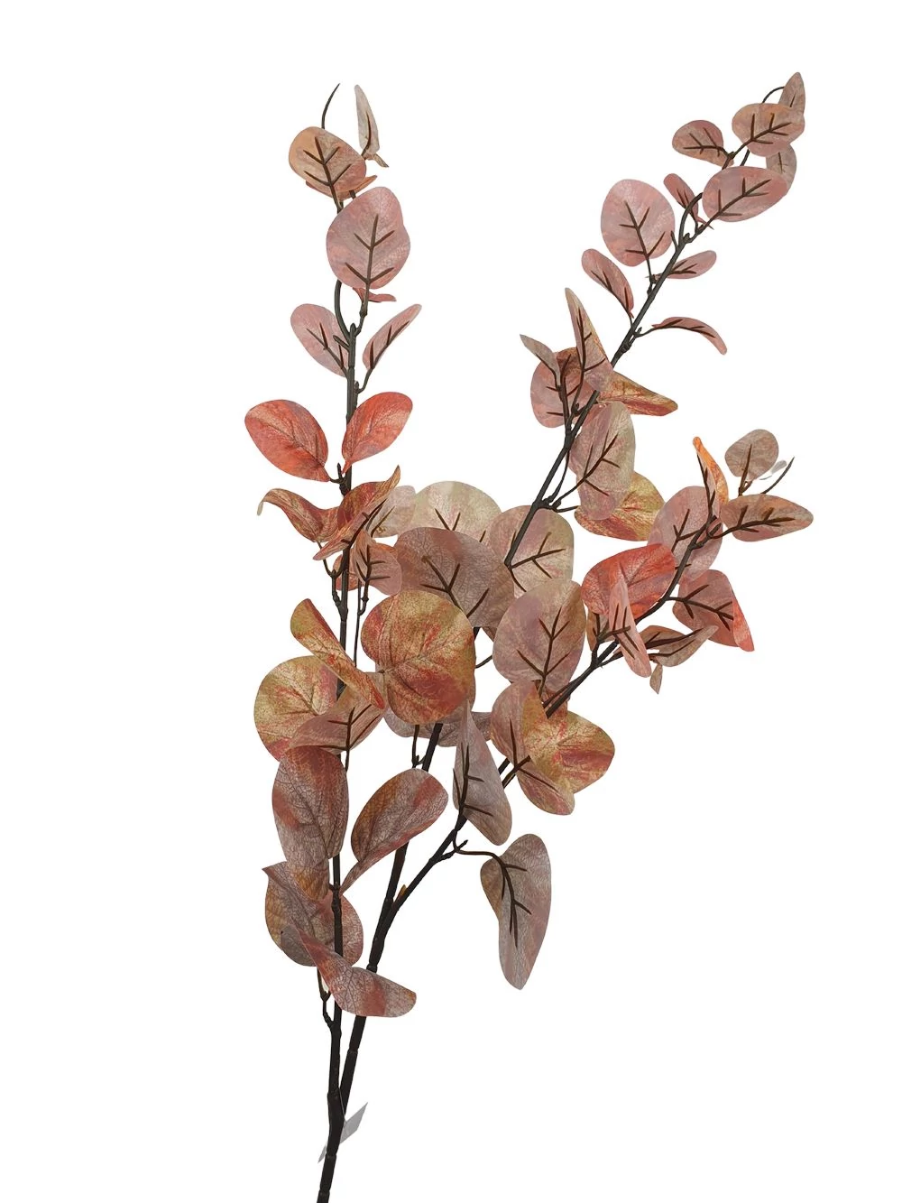 Kép 2/2 - Tarka levelű levél ág - Barna