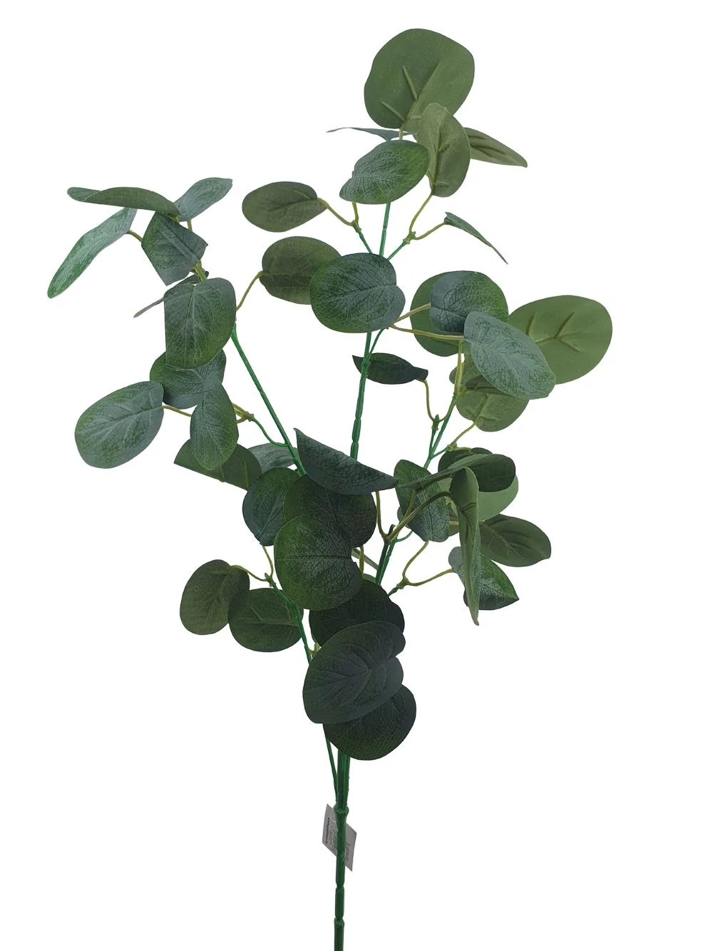 Kép 2/2 - Cserszömörce ág - Zöld levelű