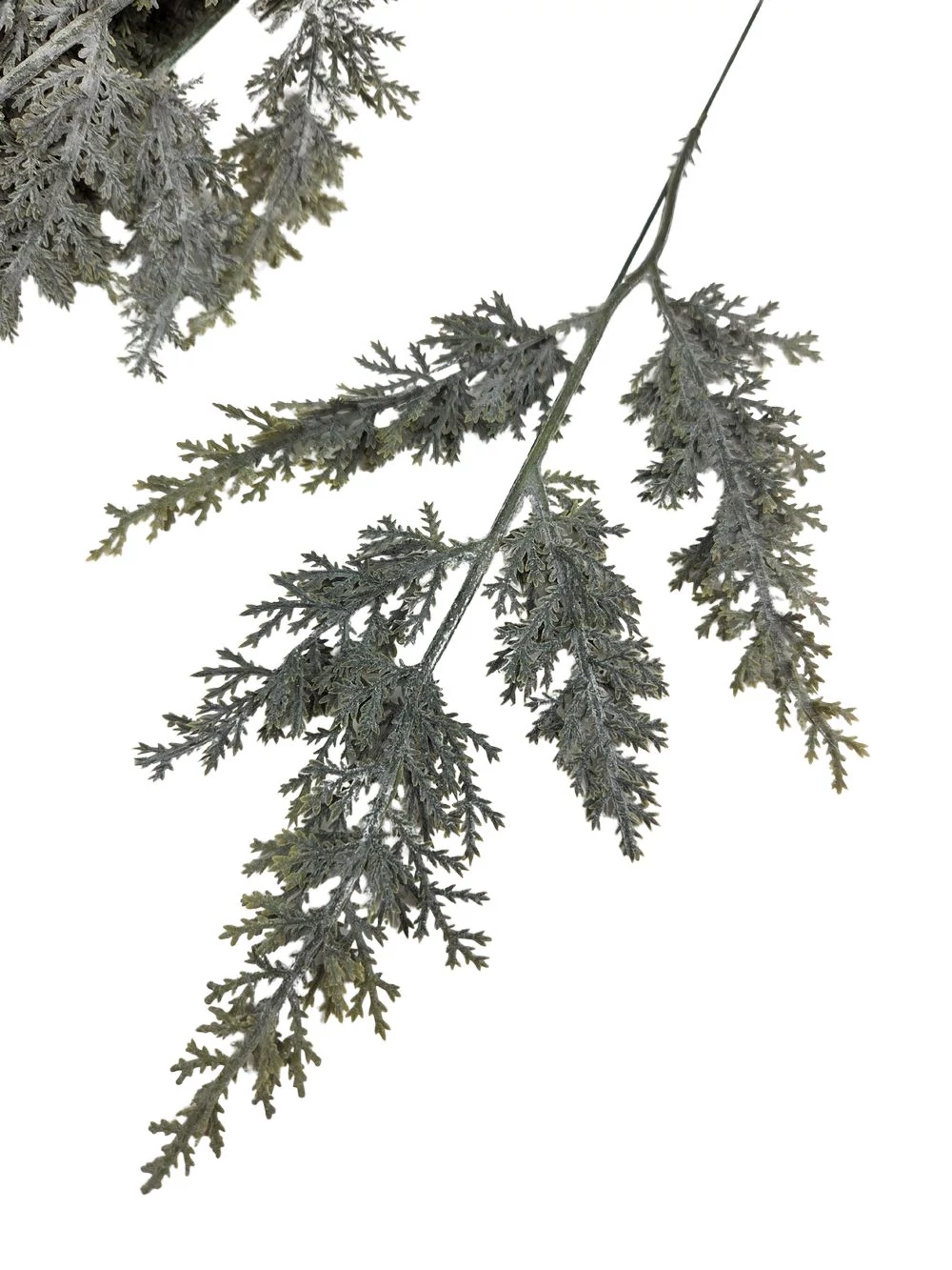 Kép 3/3 - Hamvas műzöld real touch köteg - Tuja