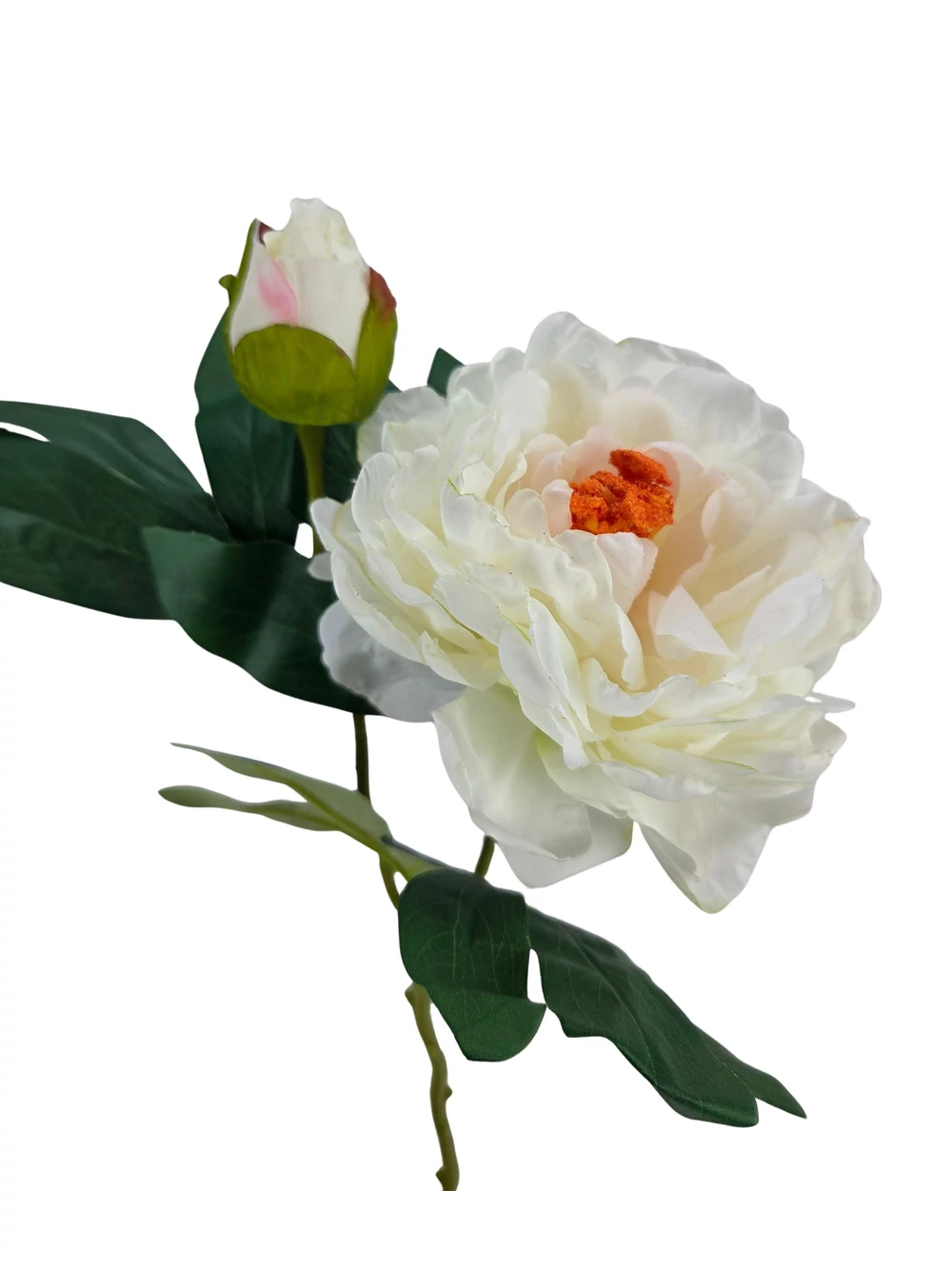 Kép 2/3 - Szálas peónia 47 cm - Tört fehér