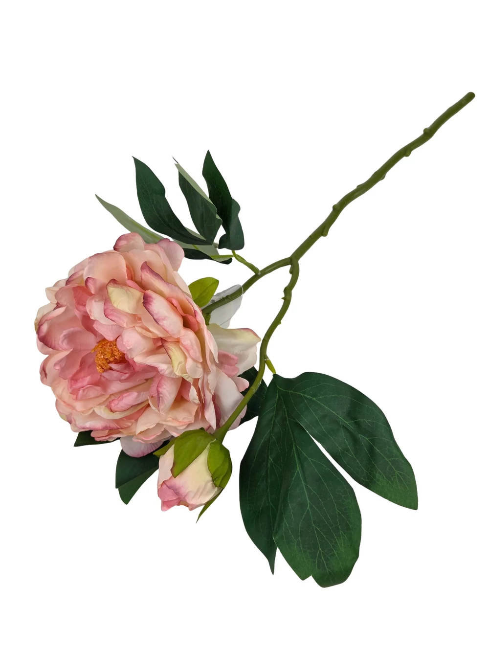 Kép 3/3 - Szálas peónia 47 cm - Cirmos rózsaszín
