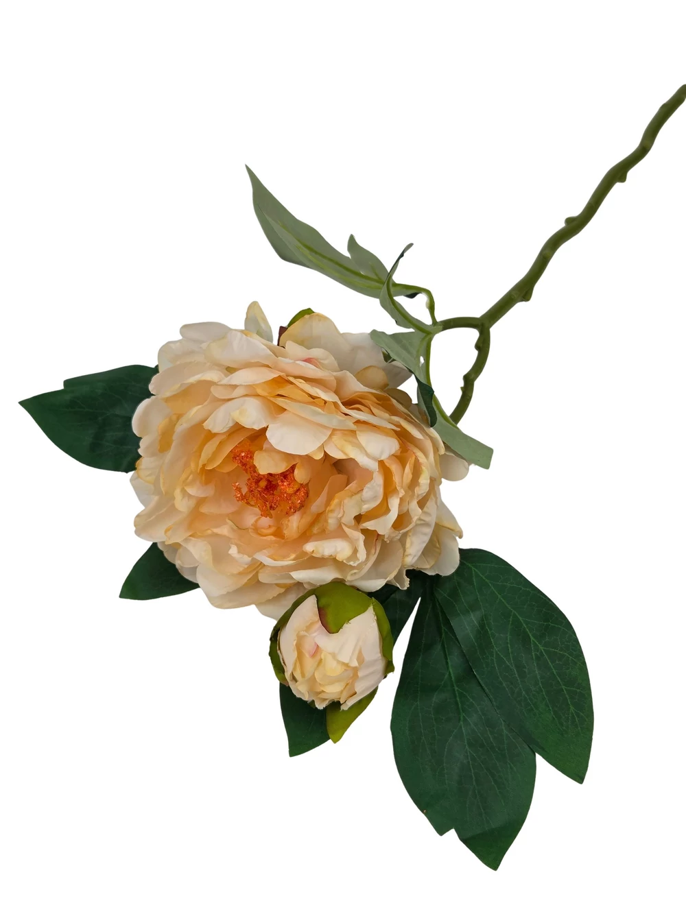 Kép 3/3 - Szálas peónia 47 cm - Krém