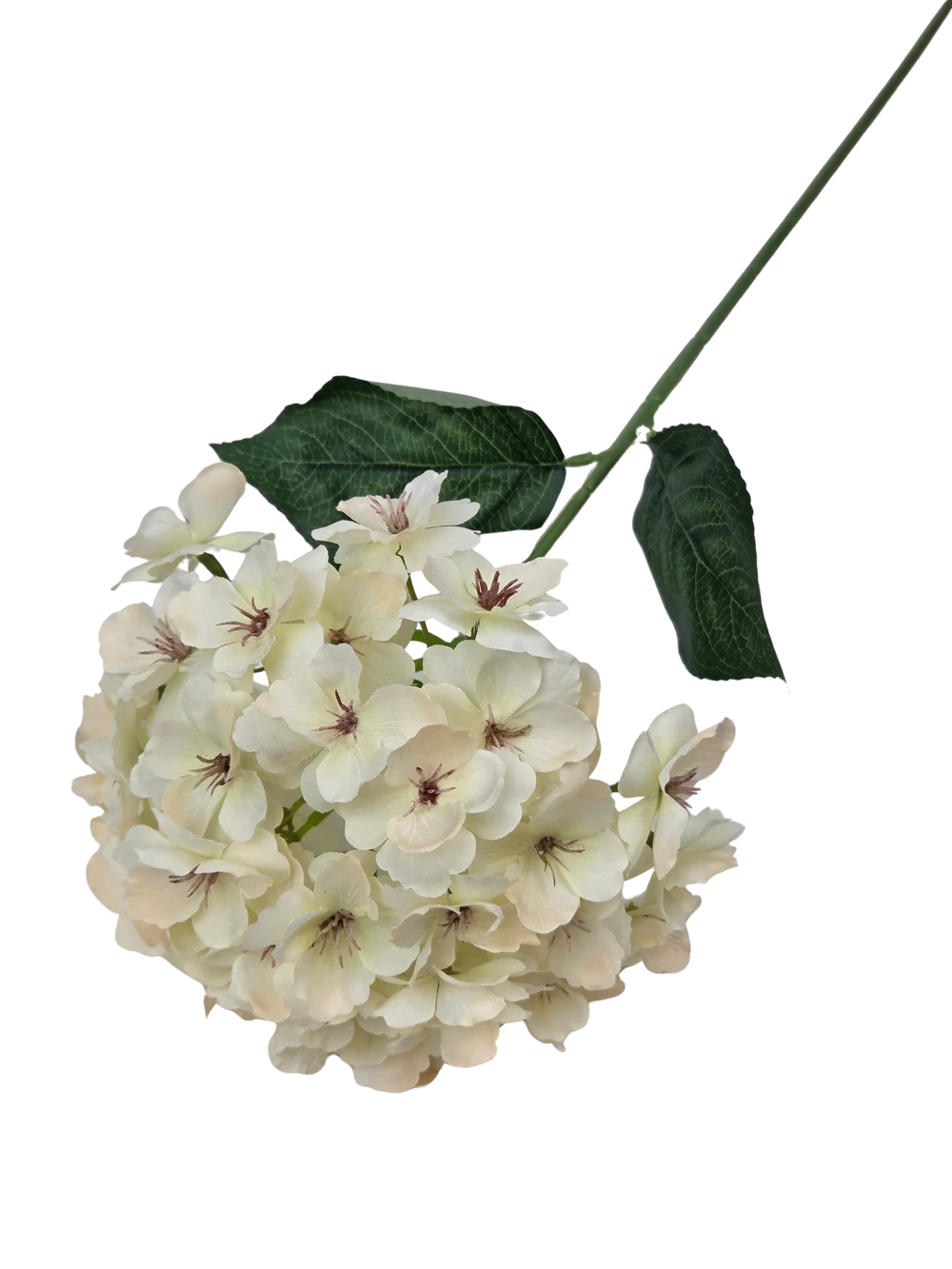 Kép 2/2 - Szálas hortenzia 70cm - Törtfehér