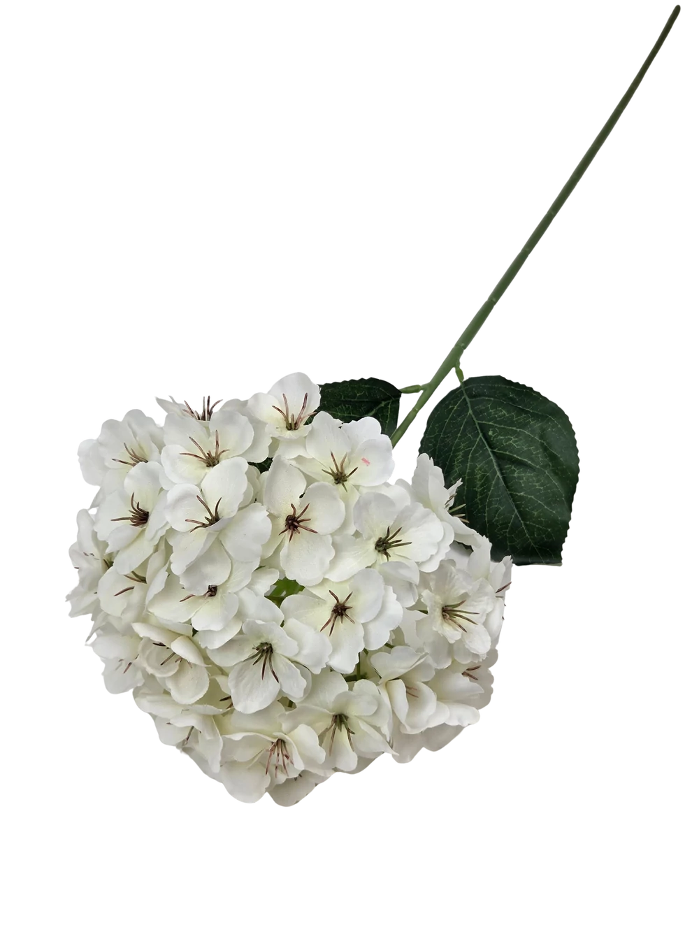 Kép 2/2 - Szálas hortenzia 70cm - Fehér