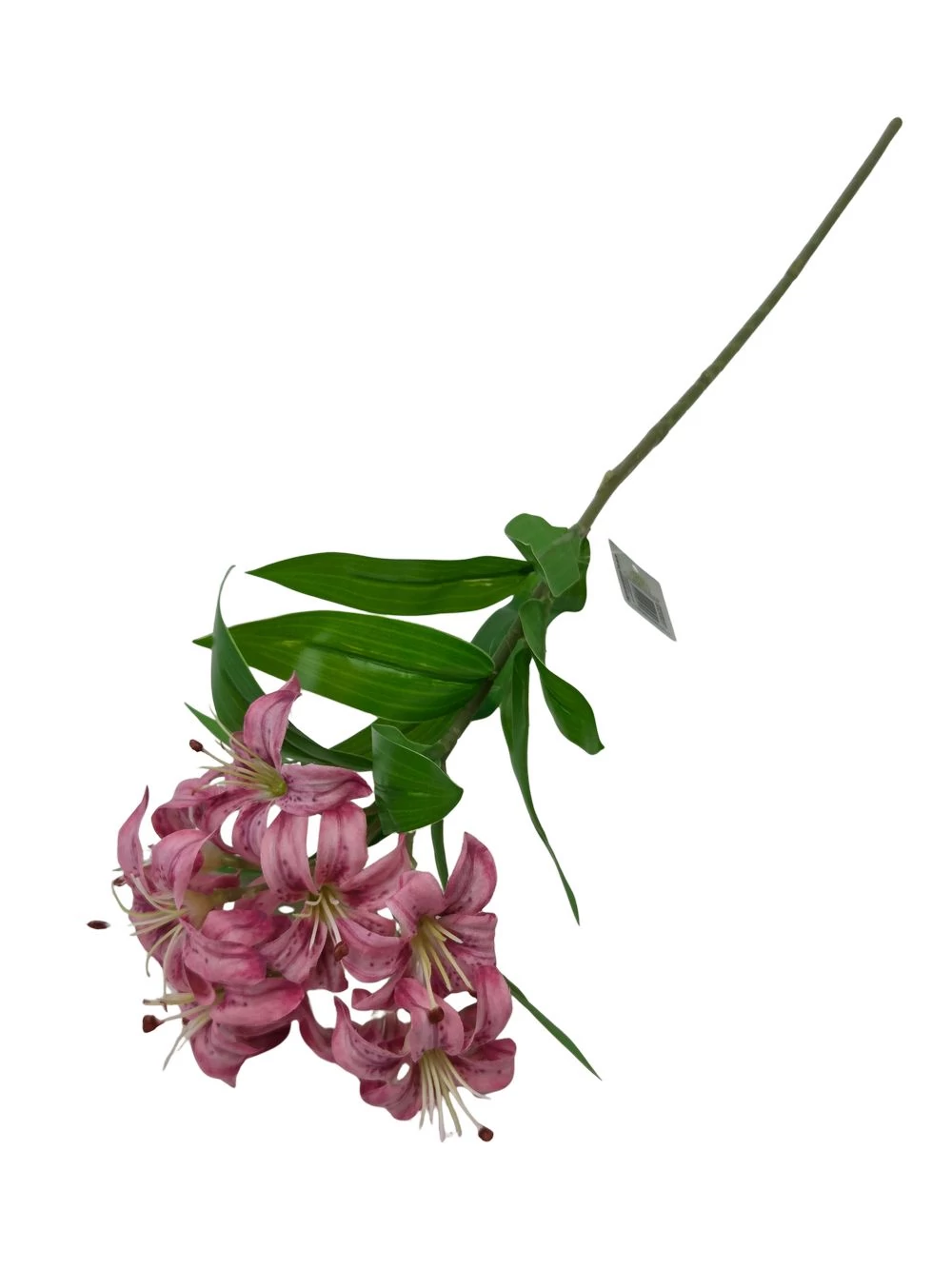 Kép 2/2 - Műzöld szálas liliom - Mályva