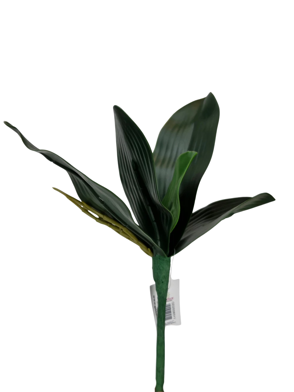 Kép 2/3 - Orchidea levél kicsi
