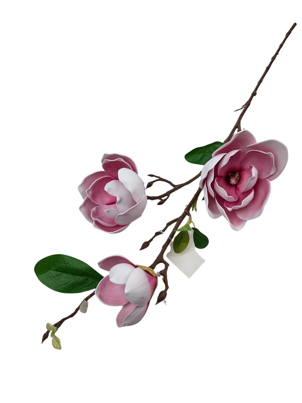 Kép 2/2 - Magnólia ág F - Mályva