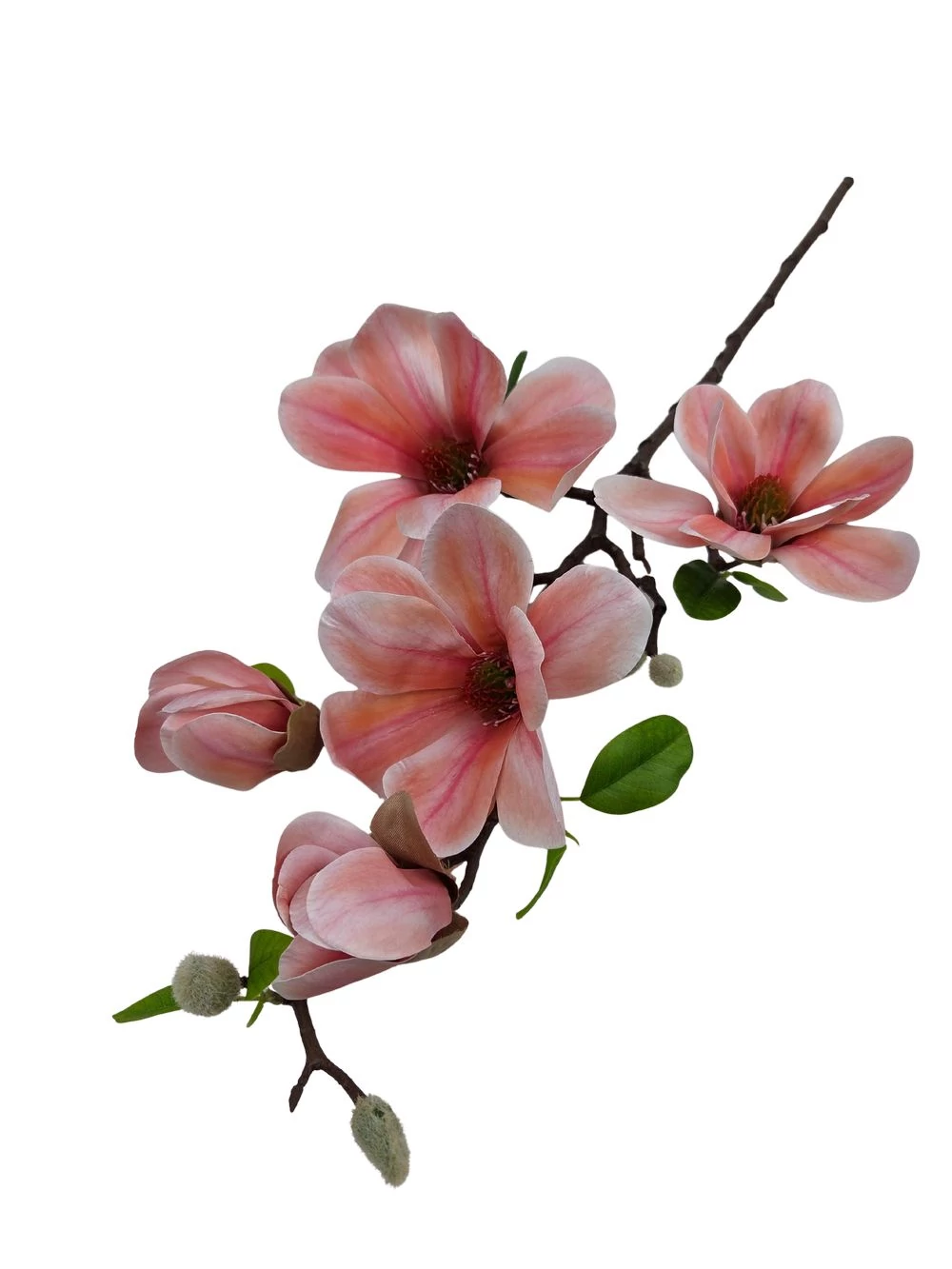 Kép 2/2 - Magnólia ág E - Barackos rózsaszín