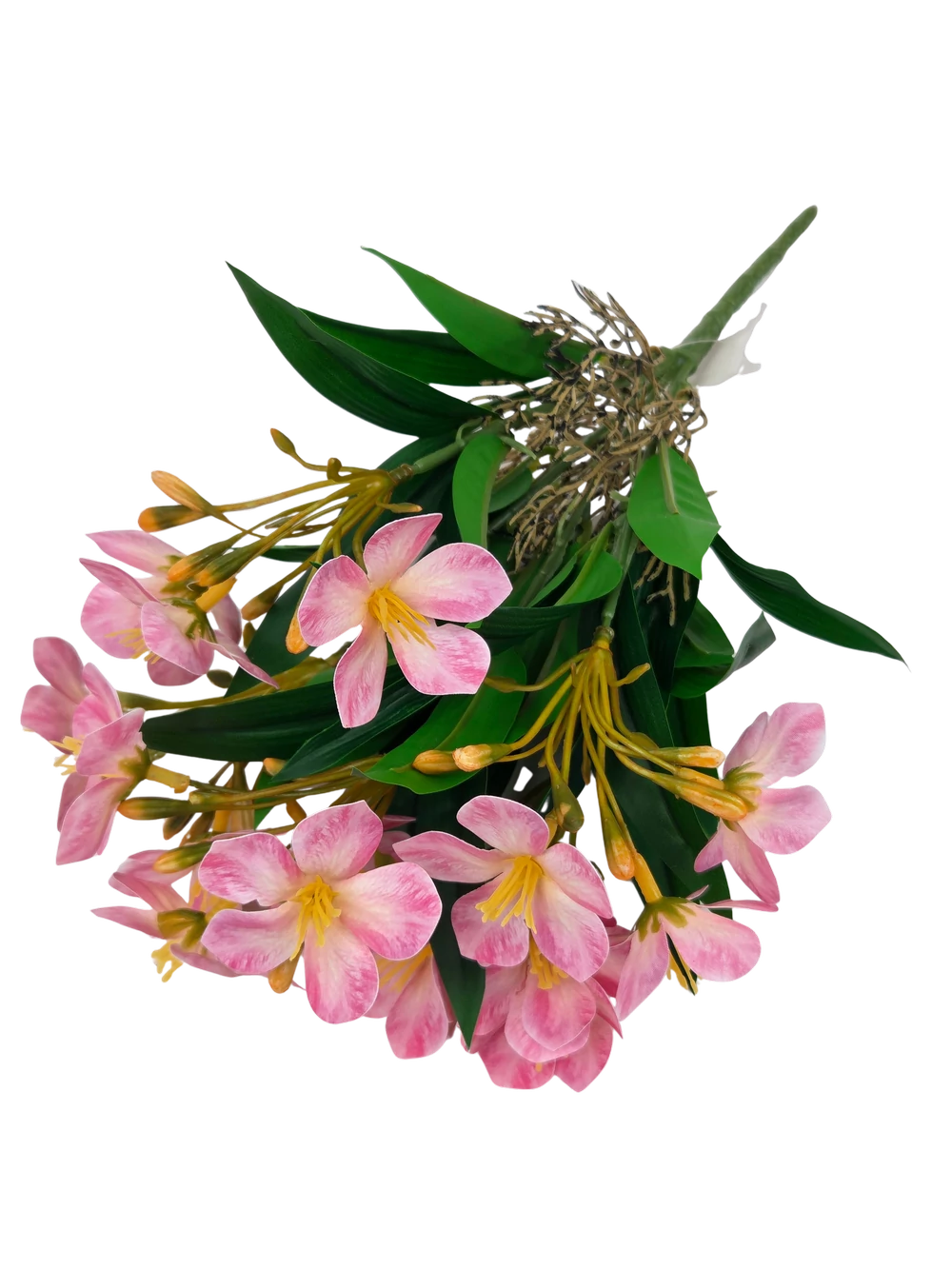 Kép 2/2 - Nyílt klívia csokor - Pink