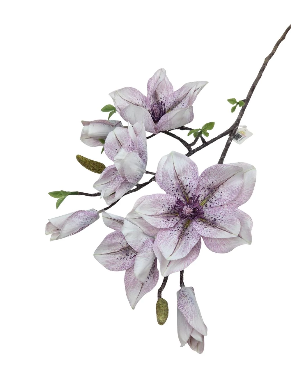 Kép 2/2 - Magnólia ág G - Lila