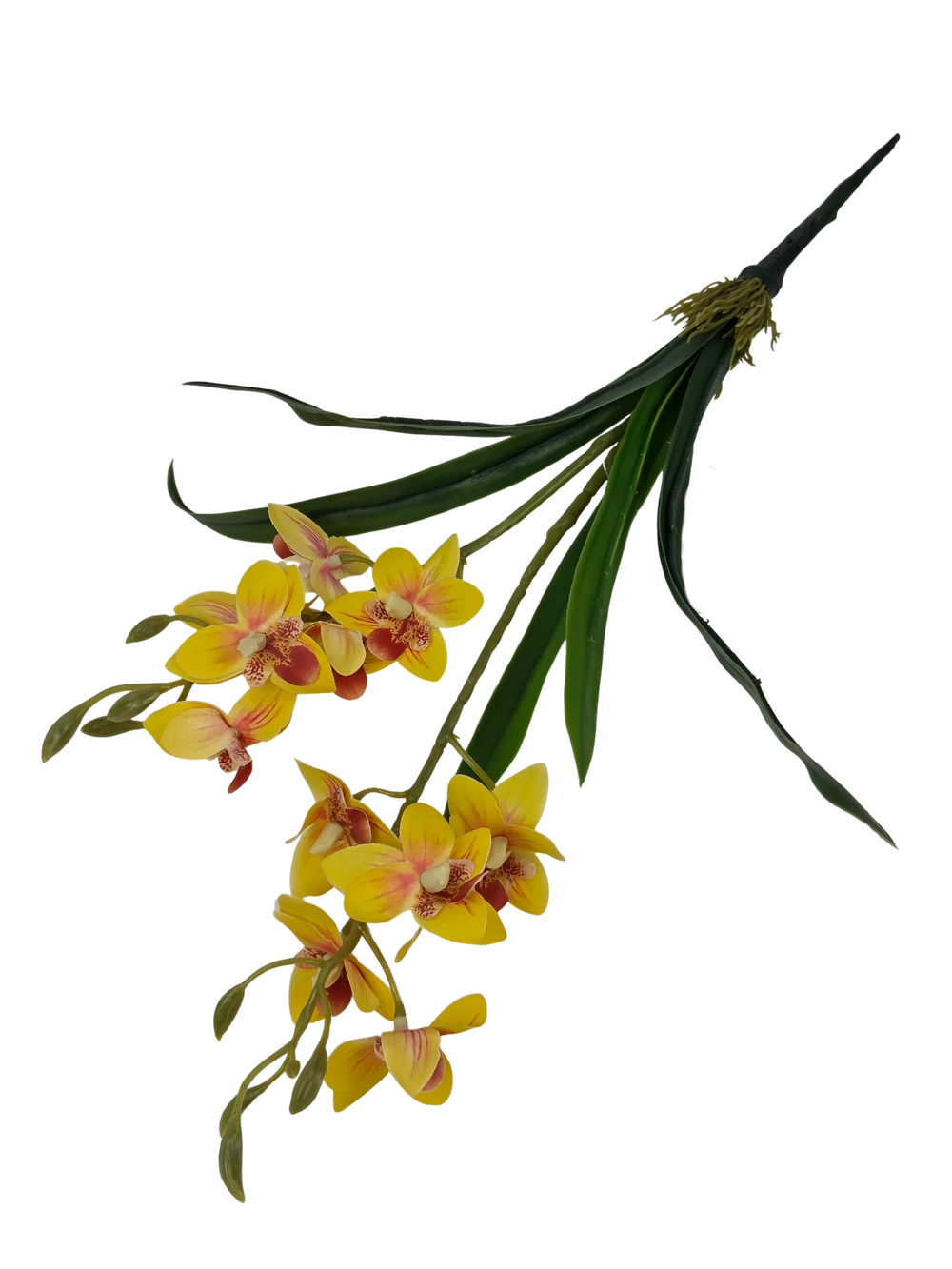 Kép 2/2 - Mini orchidea levéllel - Sárga