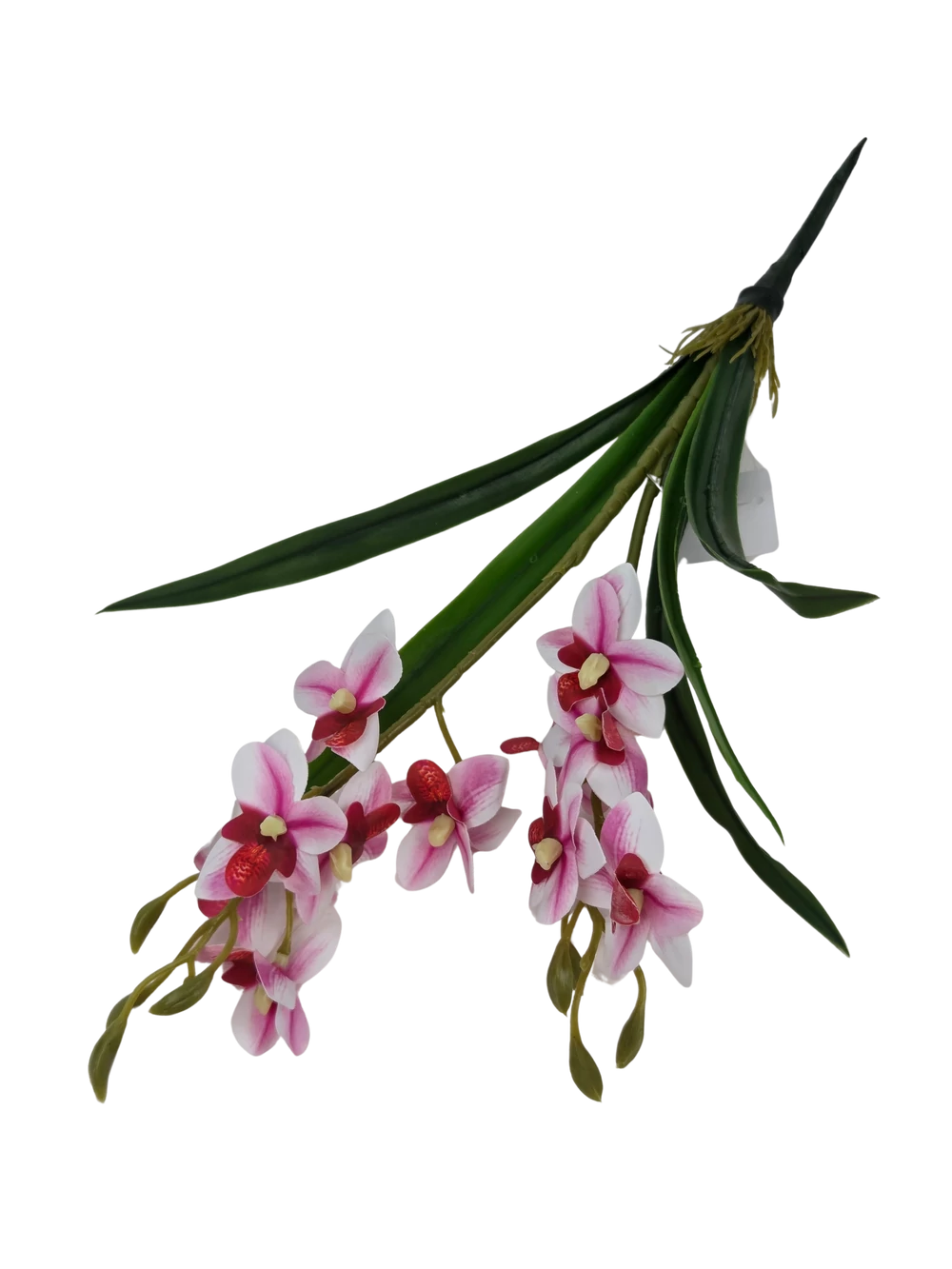 Kép 2/2 - Mini orchidea levéllel - Cirmos pink