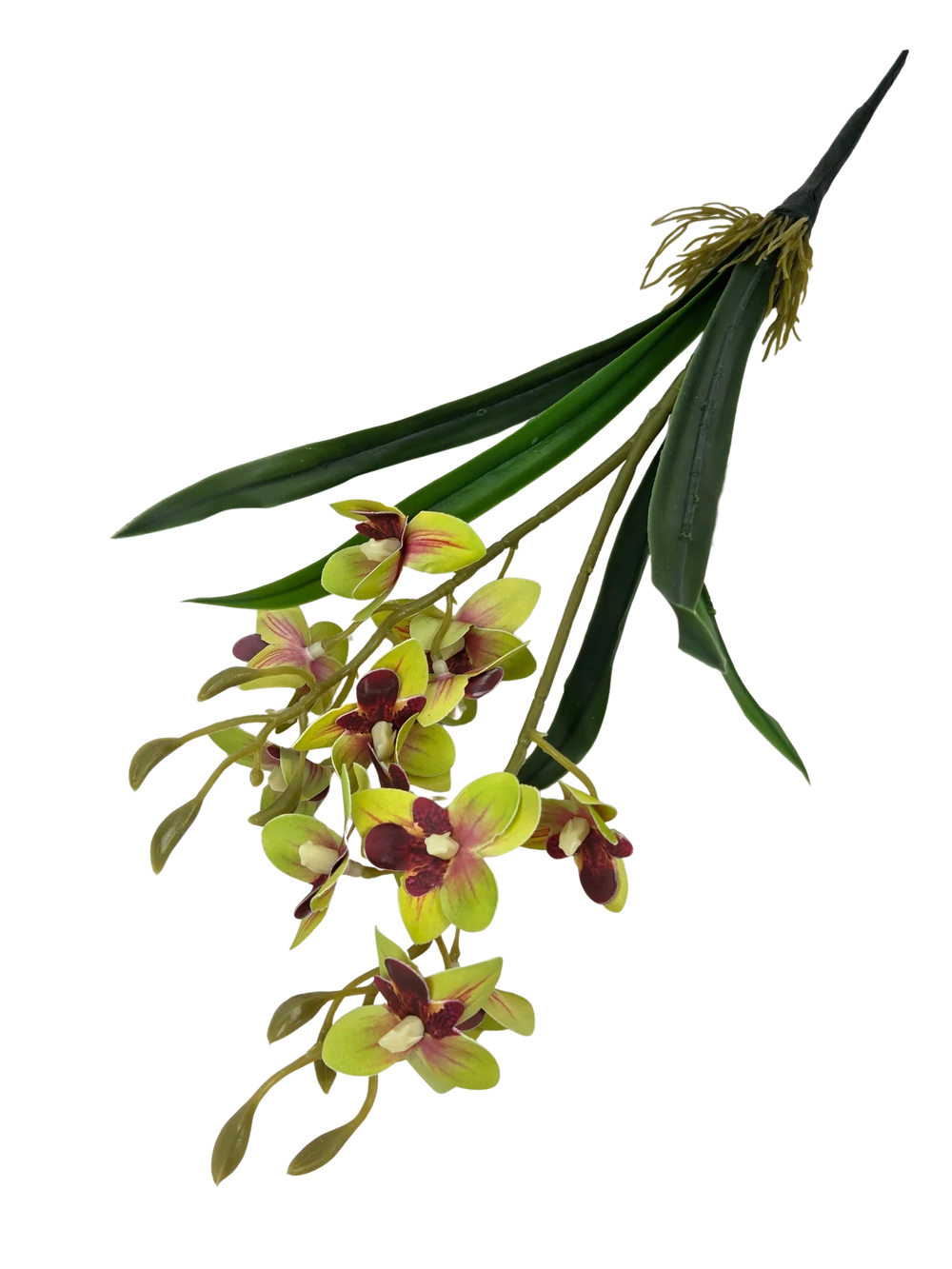 Kép 2/2 - Mini orchidea levéllel - Zöld