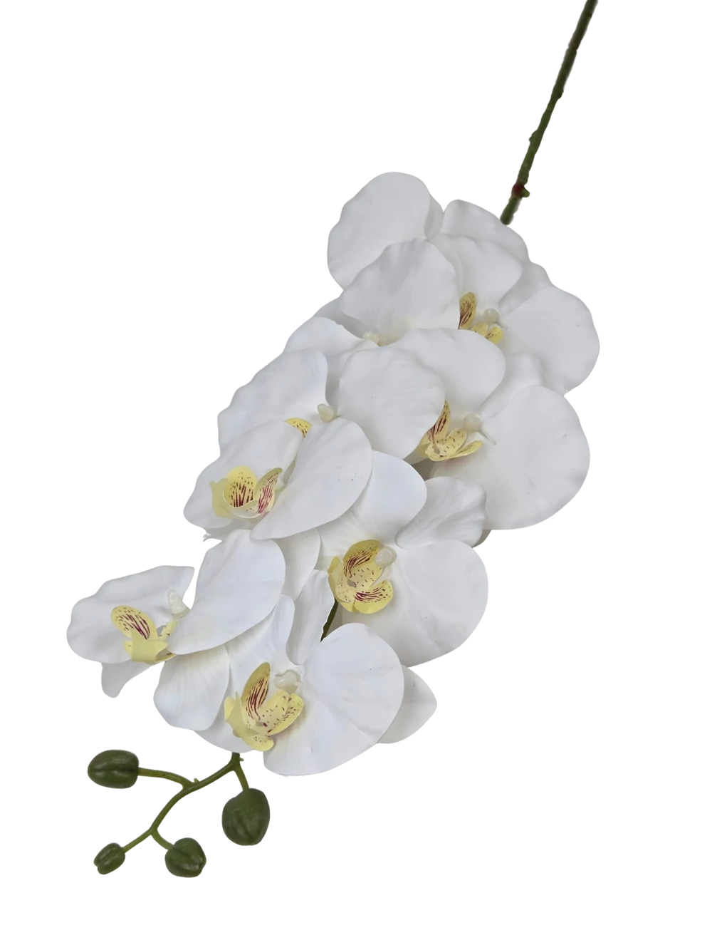 Kép 2/2 - Phalenopsis ág J - Fehér