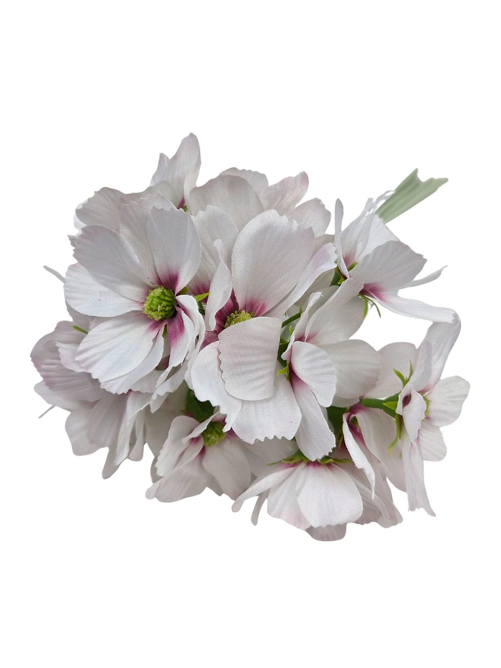 Kép 2/2 - Pillangóvirág köteg - Cirmos