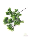 Fenyőág - Ágas zöld