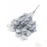 Metál pénzvirág - Ezüst