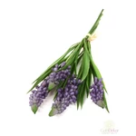 Muscari szálas levéllel*4 - Világos lila