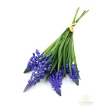 Muscari szálas levéllel*4 - Lila