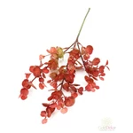 Mini eukalypthus 48 cm - Piros