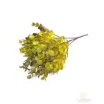 Eukalypthus műzöld csokor *5 - Sárgás zöld