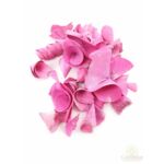 Fa tölcsér virág 5cm zúzmarás rózsaszín