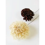 Shola Zinnia