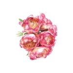 Paeonia dekor csokor 7 - Cirmos Mályva