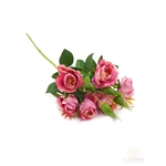 Rózsaág bokros - Antik Pink