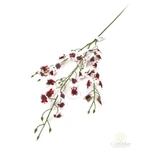Kicsi virágú orchidea ág - Bordó-fehér