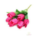 Nagyfejű tulipán csokor 7 fejes - Pink