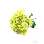 5 ágas bougainvillea csokor - Zöld