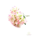 5 ágas bougainvillea csokor - Cirmos