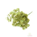 Tarka levelű eucalypthus csokor - Sárgás zöld