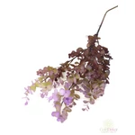 Őszi színátmenetes eukalypthus ág - Lila