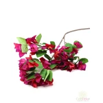 Bougainvillea ág - Sötét pink