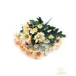 Margaréta csokor - Barack