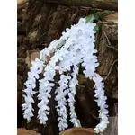 Fehér csüngős virágú selyem 87 cm
