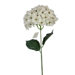 Szálas hortenzia 70cm - Fehér
