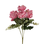 7 fejes peonia csokor - Rózsaszín