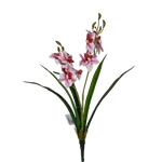 Mini orchidea levéllel - Cirmos pink