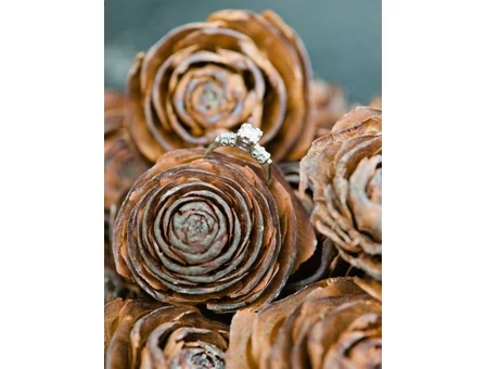 Exotikus száraztermések, amiket mindenki szeret, de honnan is származnak?