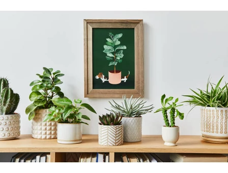 Légy Te is dekoratőr… 2.rész