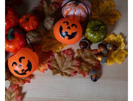 Ismerd Meg a Halloween Varázslatos Világát